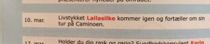 Lailsilke 02